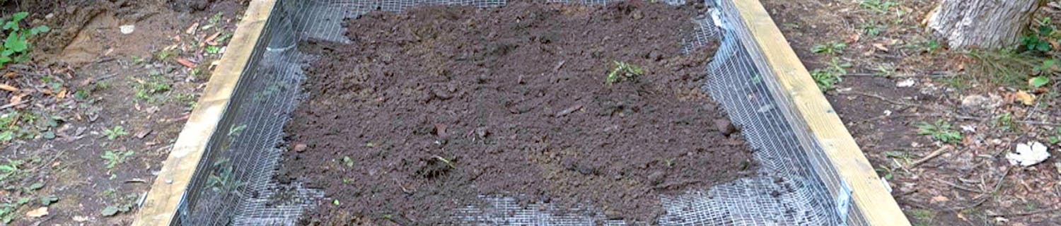 Hvordan sikrer jeg mine høns mod rotter? Hvordan sikrer jeg mine høns mod rotter?